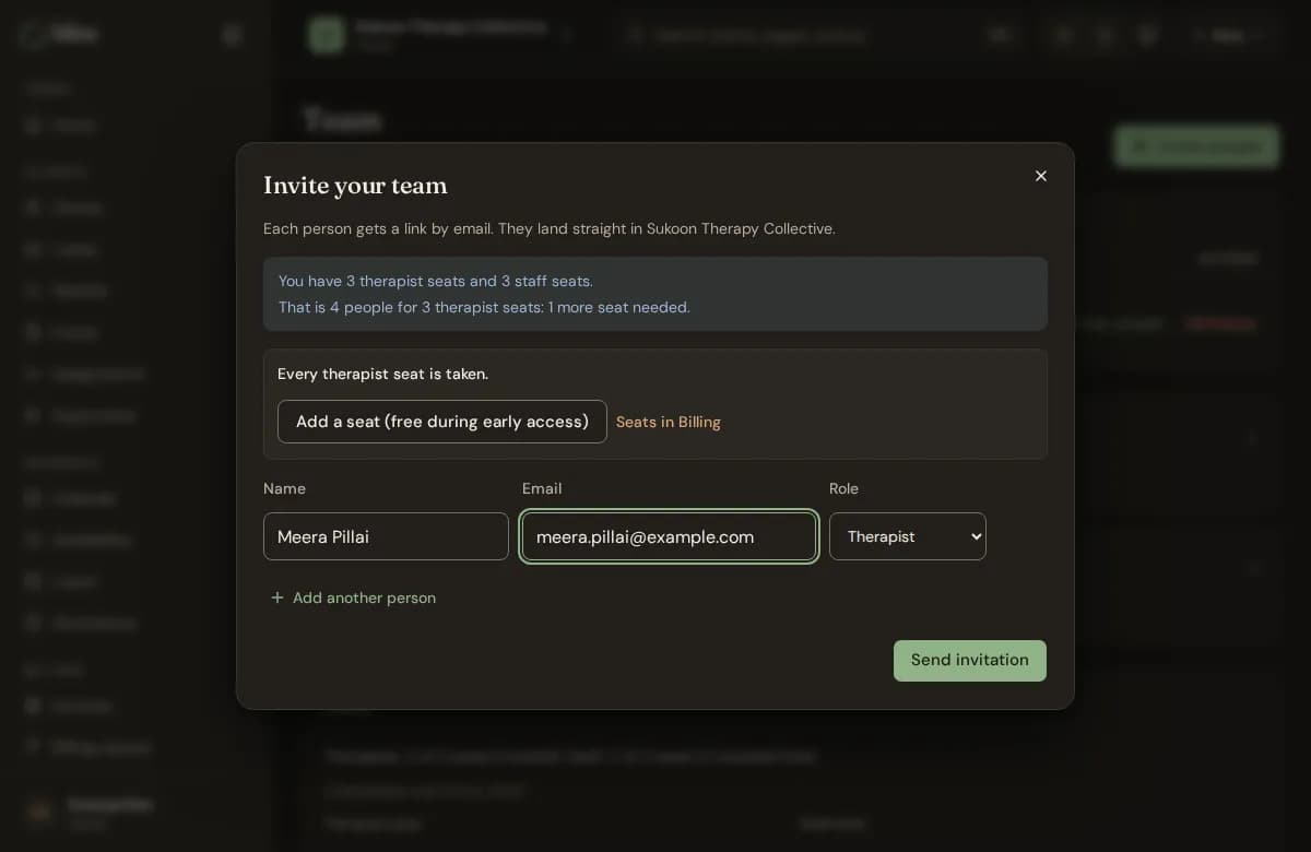 The Invite your team form with name, email and role