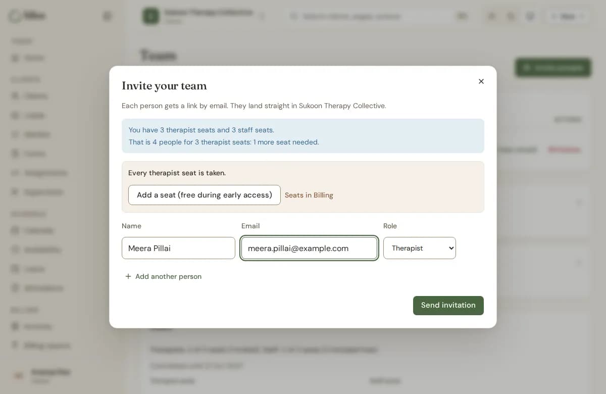The Invite your team form with name, email and role