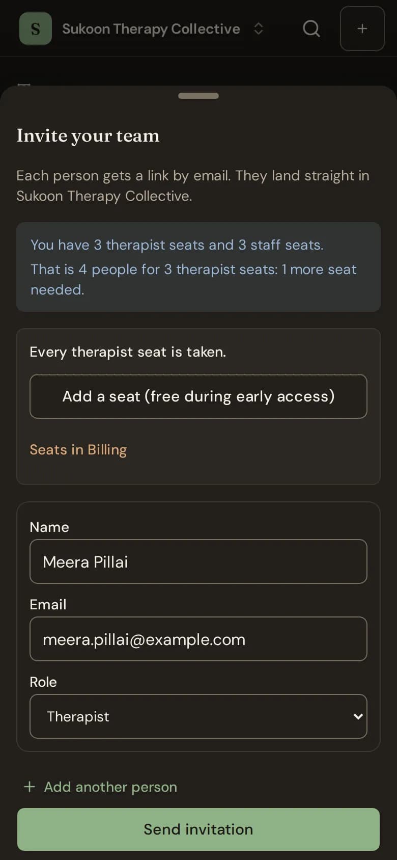 The Invite your team form with name, email and role