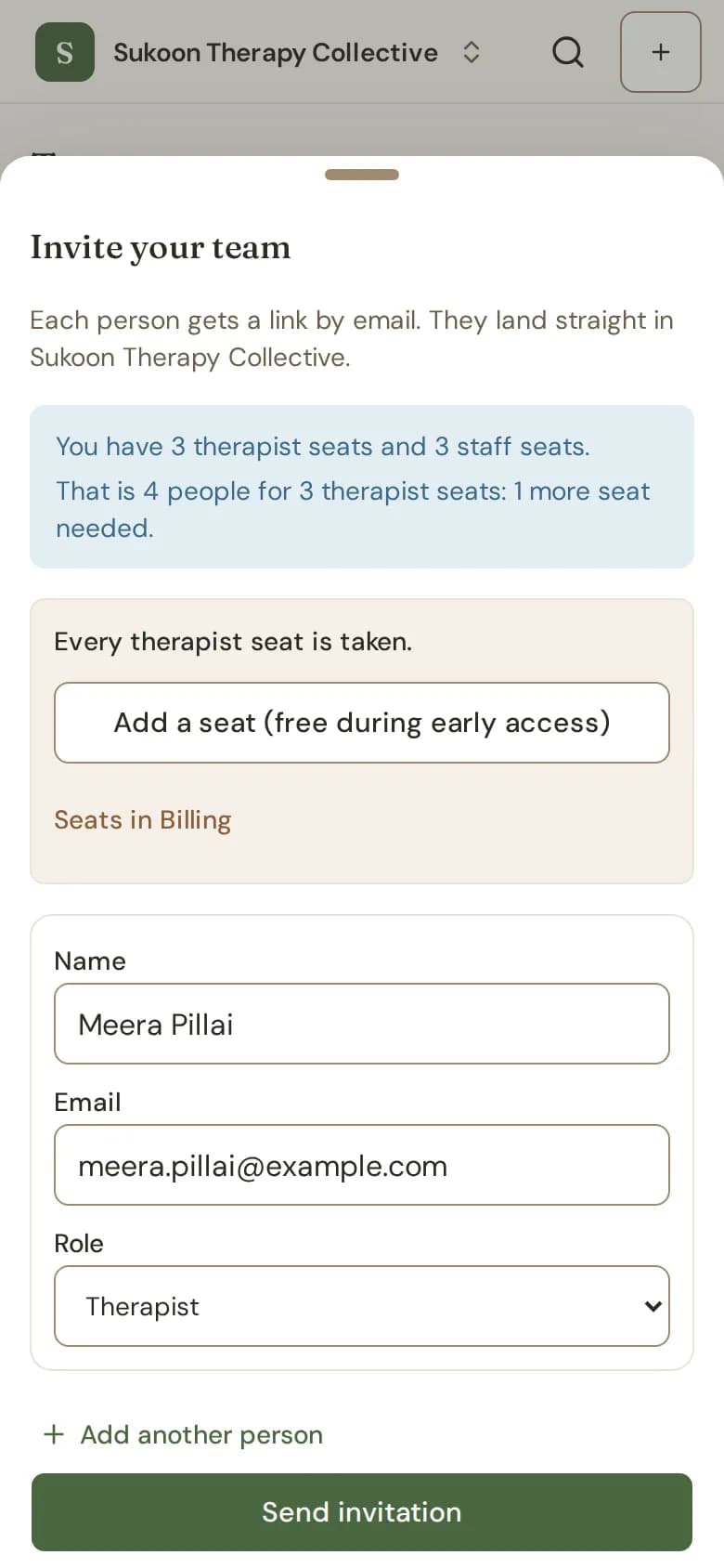 The Invite your team form with name, email and role
